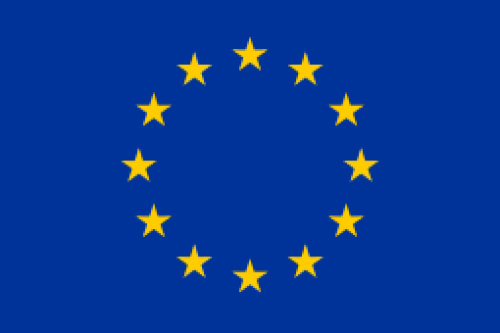 2015: European Parliament supports full implementation of UN CRPD