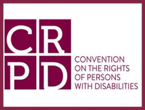 2006: Adoption of the Convention on the Rights of Persons with Disabilities by the UN (UN CRPD)