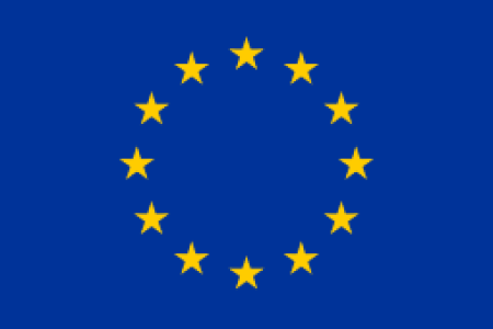 2015: European Parliament supports full implementation of UN CRPD 2015: European Parliament supports full implementation of UN CRPD